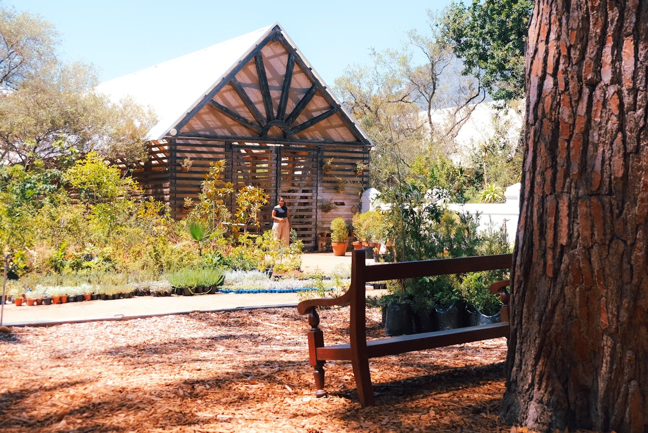 Charming rustic garden featuring a wooden bench and lush greenery, ideal for tranquil moments outdoors.